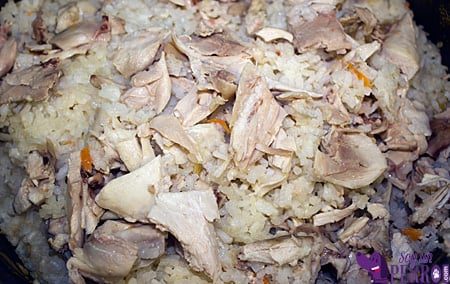 mezcla de arroz con pollo y zanahoria cocido