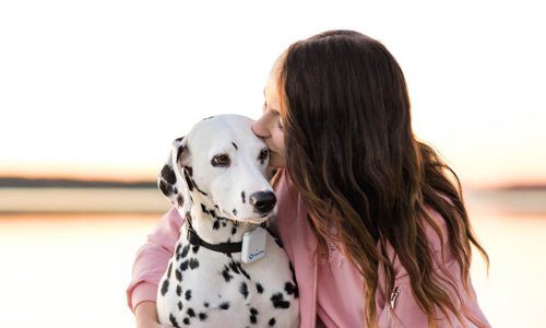 perro con su dueña