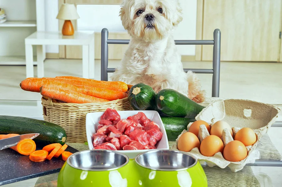 perro-junto-a-comida-para-cocinar